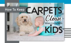 Hoe tapijten schoon te houden bij het leven met kinderen